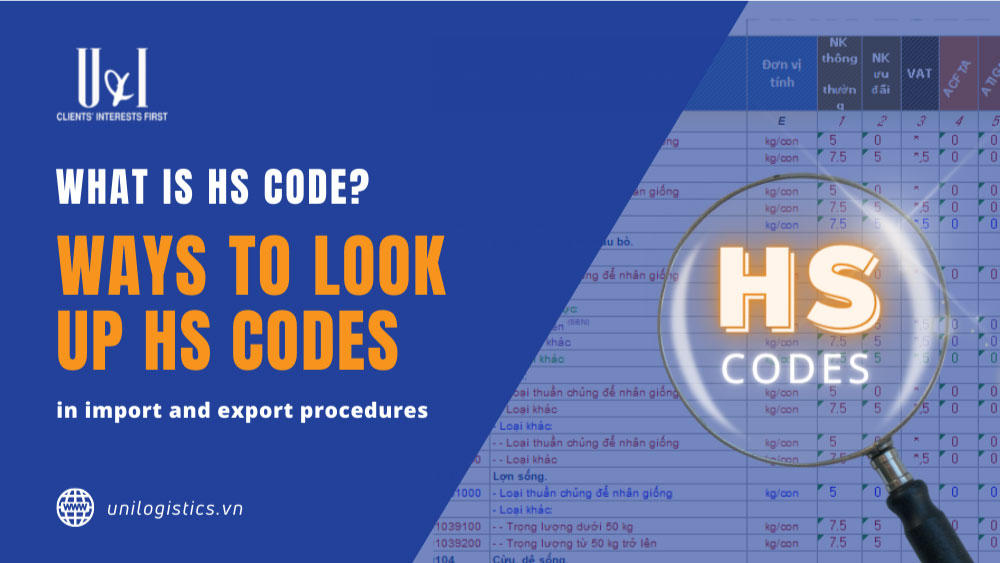 HS Code là gì? Các cách tra cứu mã HS chuẩn xác trong thủ tục xuất nhập